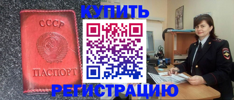 прописка 2025 в Мурино